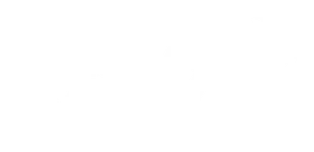 משה אלג'ם